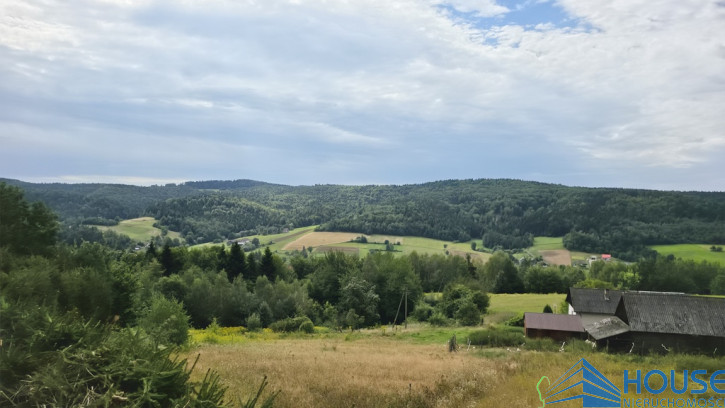 Dom Sprzedaż Górowa 19