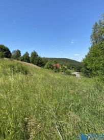 Działka Sprzedaż Sienna
