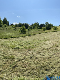 Działka Sprzedaż Sienna