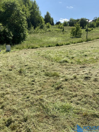 Działka Sprzedaż Sienna