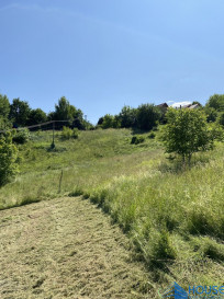 Działka Sprzedaż Sienna