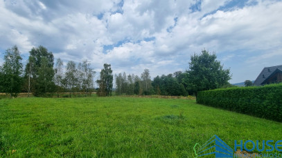Działka Sprzedaż Mszalnica